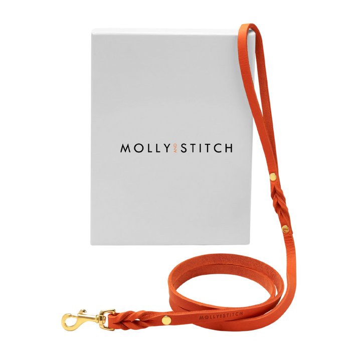 Butter Leather City Dog Leash - Mango