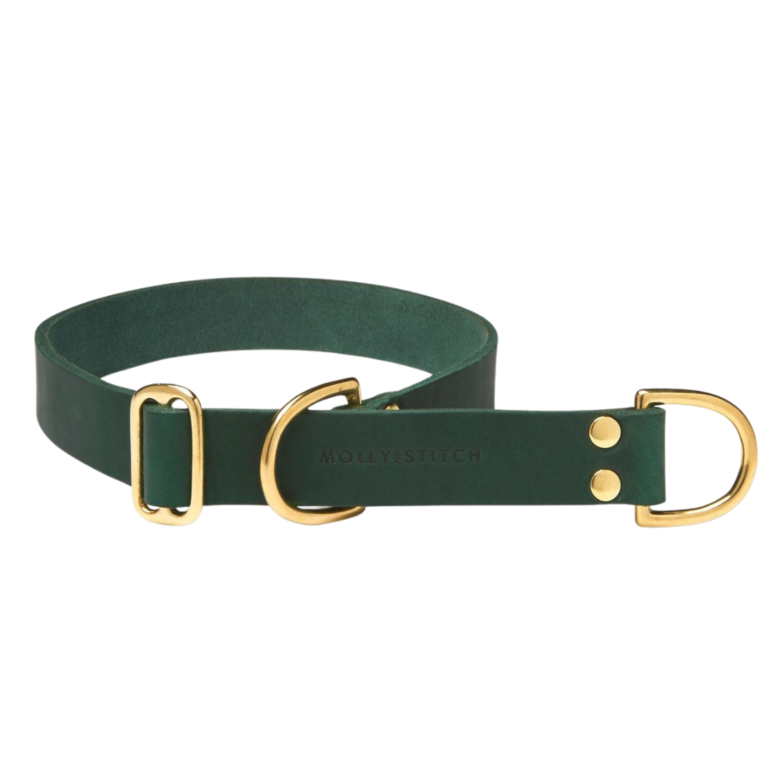 Butter Leather Retriever Dog Collar - Forest Green