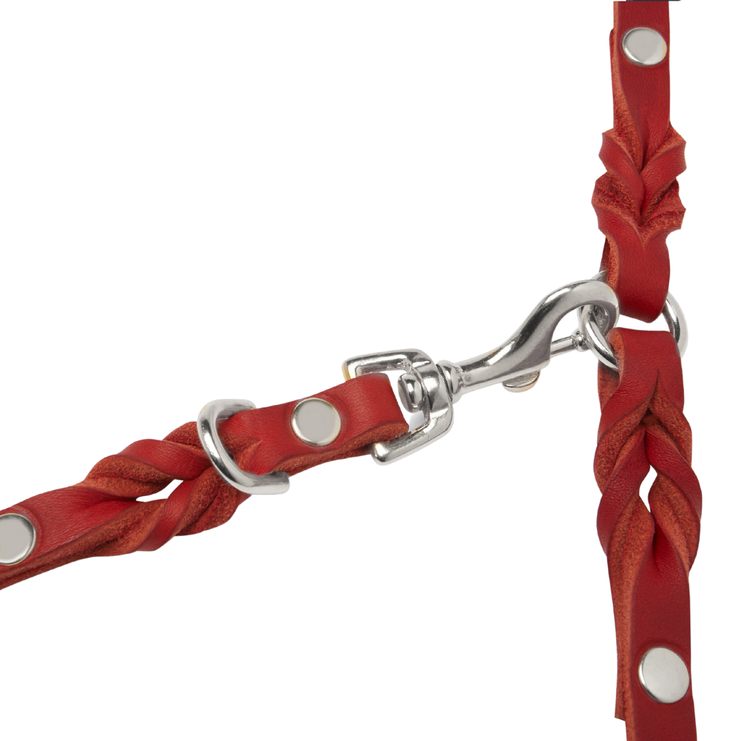 Luxurious German leather leash in Chili Red color with spring-loaded clasps and an adjustable handle