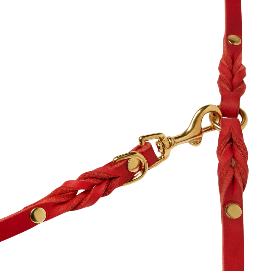 Luxurious German leather leash in Chili Red color with spring-loaded clasps and an adjustable handle