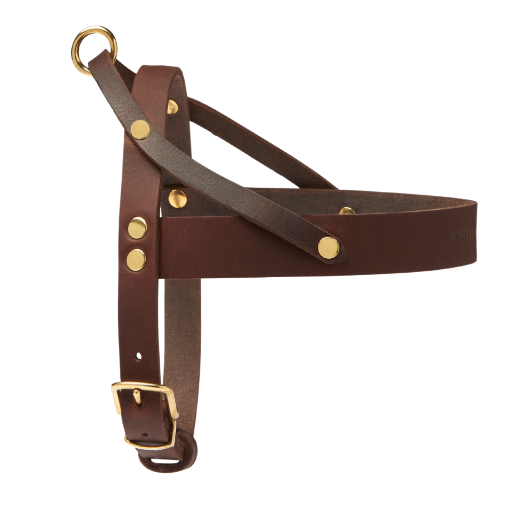 Butter Leather Dog Harness - Classic Brown