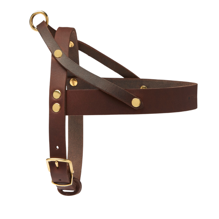 Butter Leather Dog Harness - Classic Brown