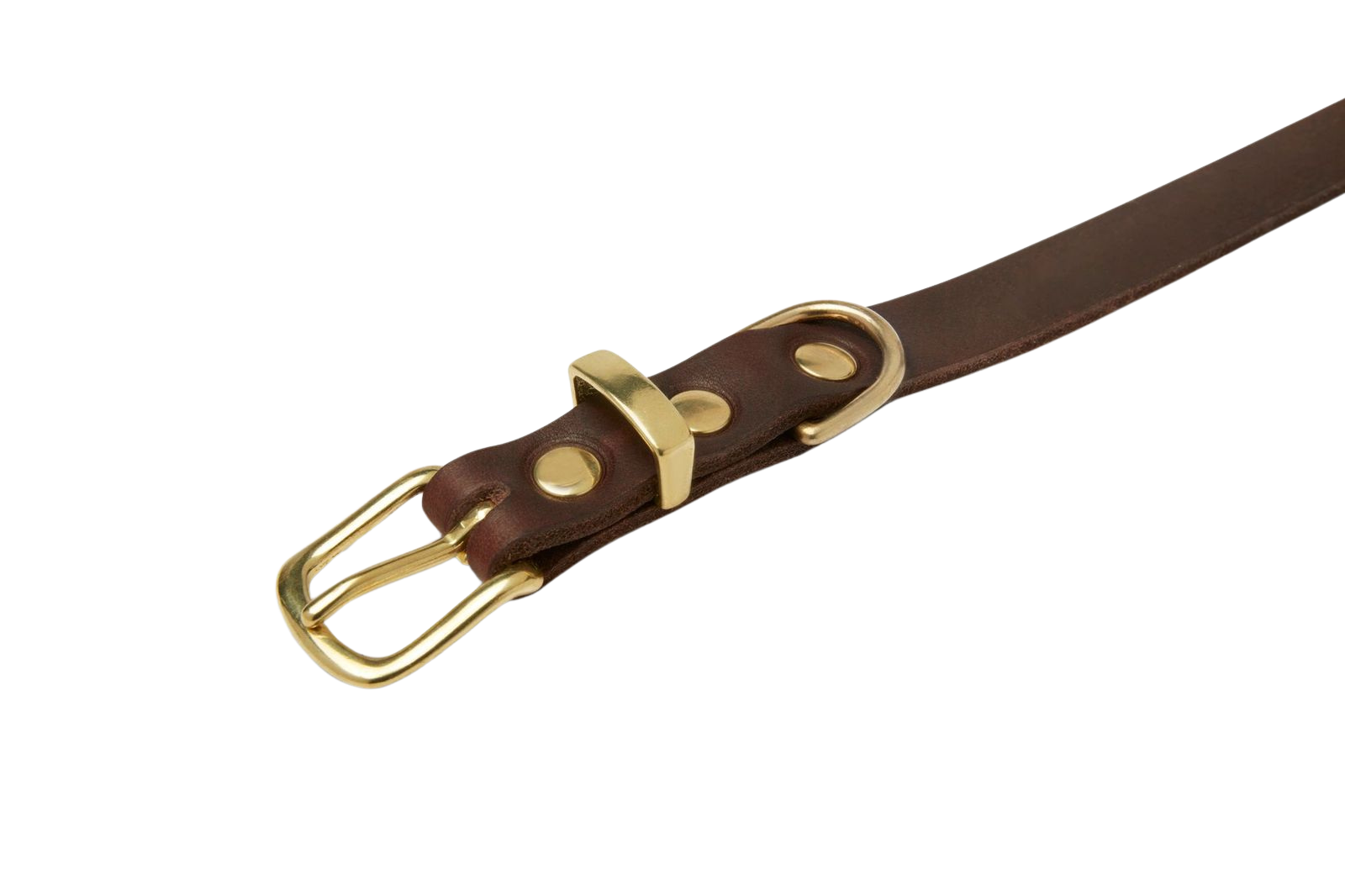 Scandinavian-inspired dog collar with buttery soft German leather and gleaming brass hardware