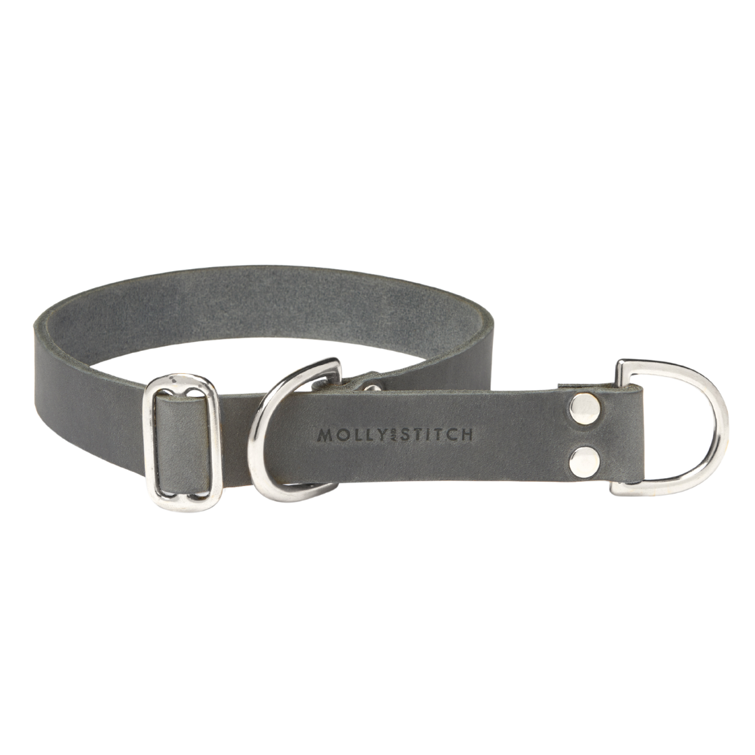 Soft leather dog collar with solid brass and steel options, designed for both comfort and style