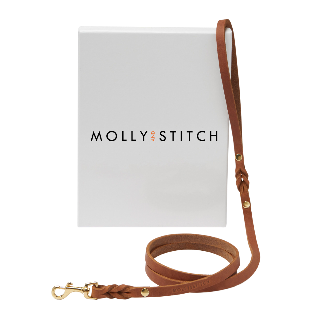 Handmade leather leash with spring-loaded brass clasps and braided detailing for durability