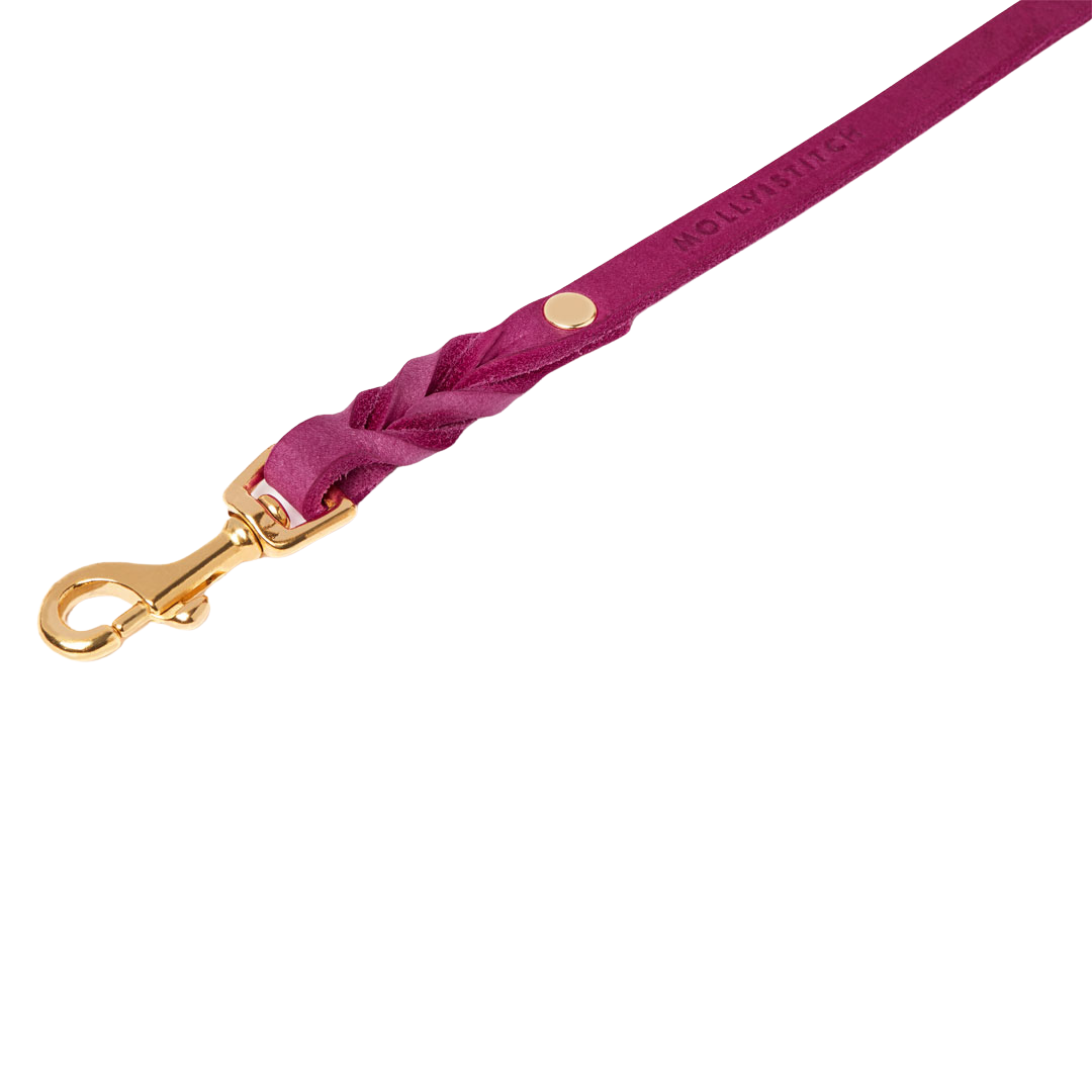 Adjustable leather dog leash with soft braided handle and solid brass clasps, handmade in Austria