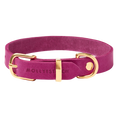 Butter Leather Dog Collar - Flamingo