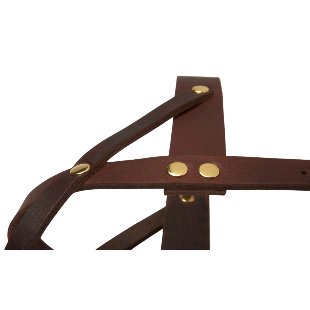 Butter Leather Dog Harness - Classic Brown