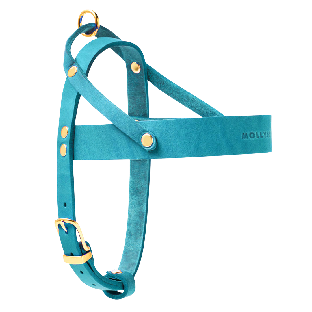 Butter Leather Dog Harness - Fiji