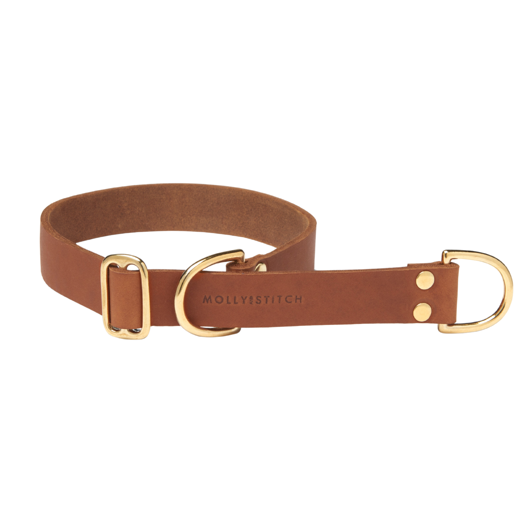 Butter Leather Retriever Dog Collar - Sahara Cognac