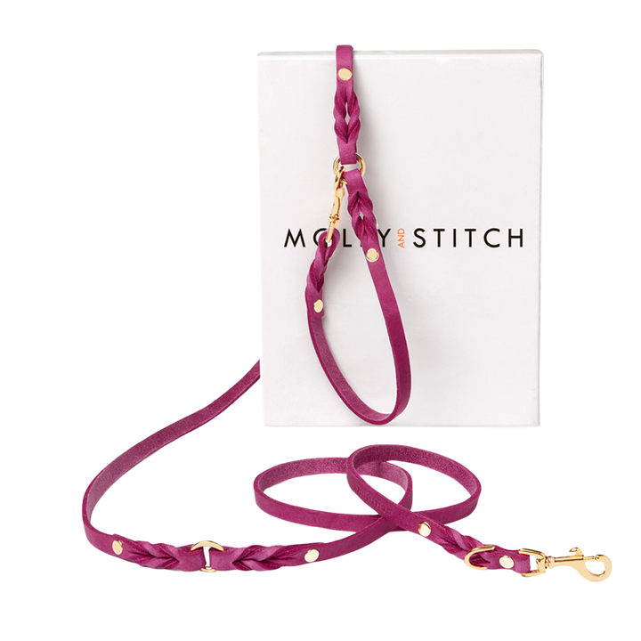 Butter Leather 3x Adjustable Dog Leash - Flamingo