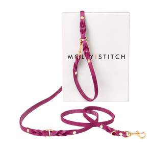Butter Leather 3x Adjustable Dog Leash - Flamingo