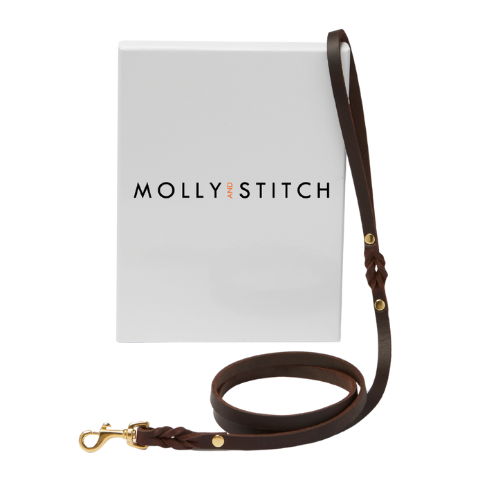 Butter Leather City Dog Leash - Classic Brown