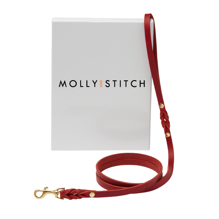 Butter Leather City Dog Leash - Chili Red
