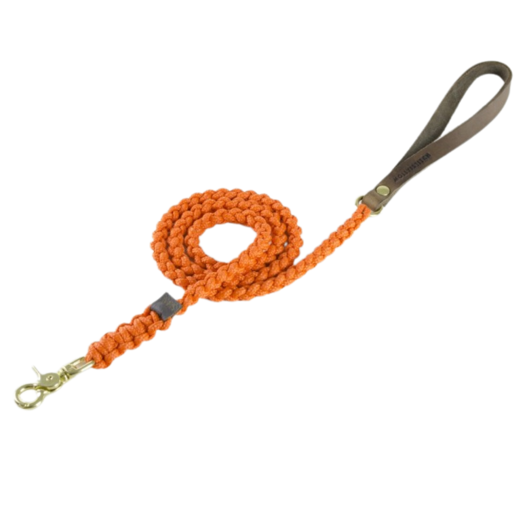 Touch of Leather Dog Leash - Pumpkin