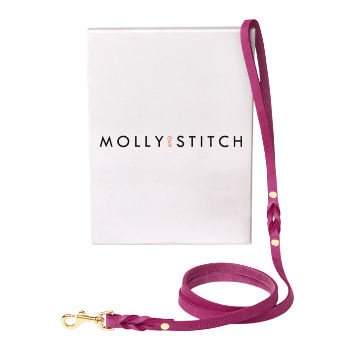 Butter Leather City Dog Leash - Flamingo