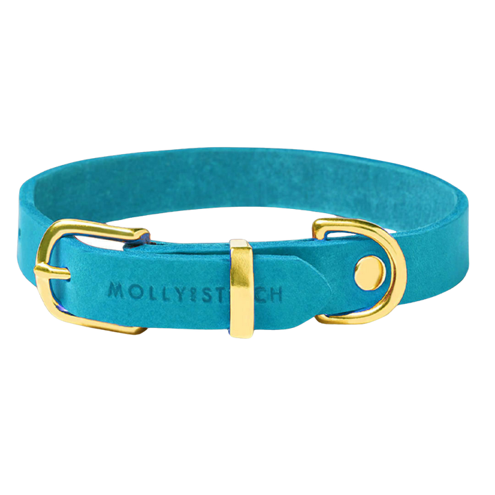 Butter Leather Dog Collar - Fiji