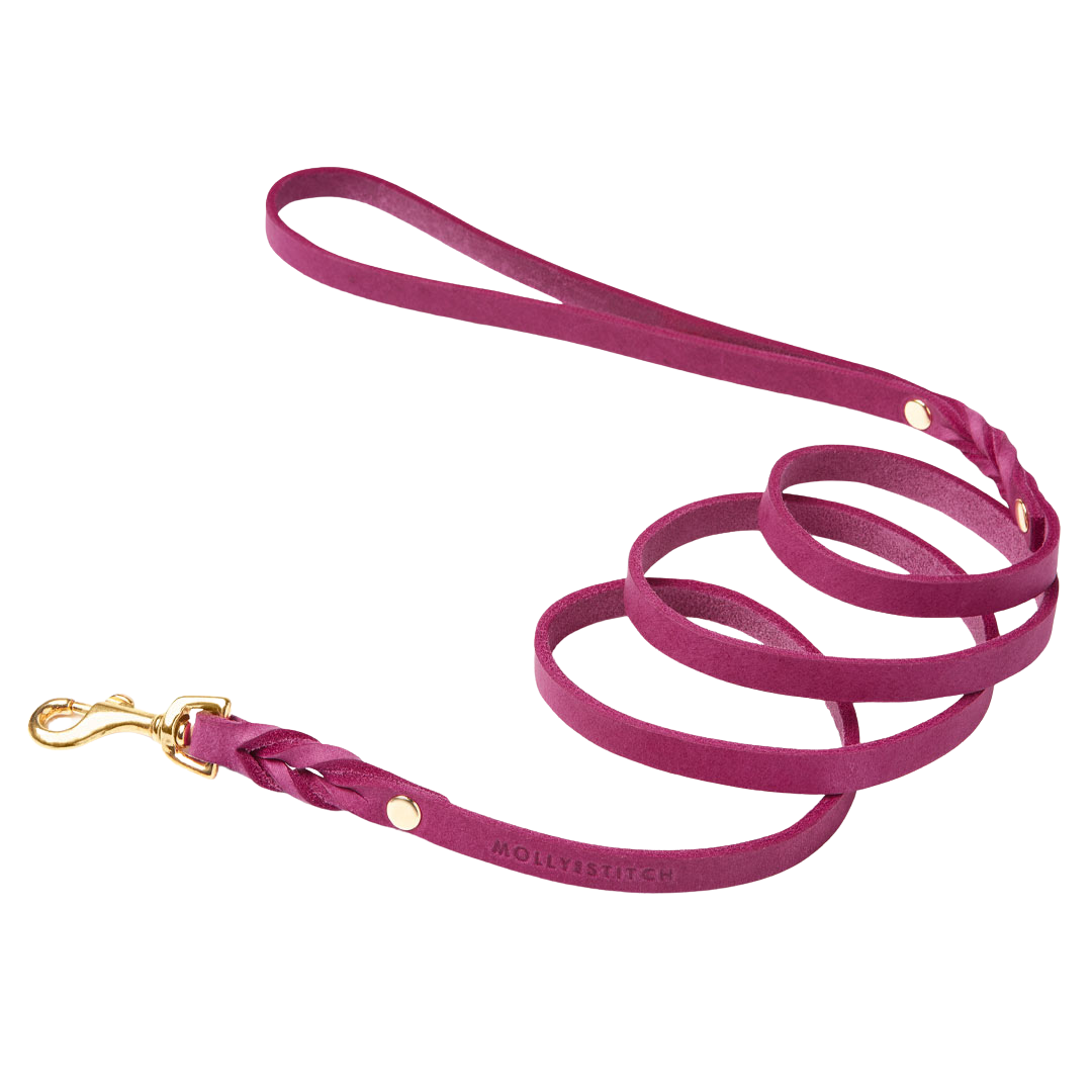 Handmade leather leash with spring-loaded brass clasps and braided detailing for durability