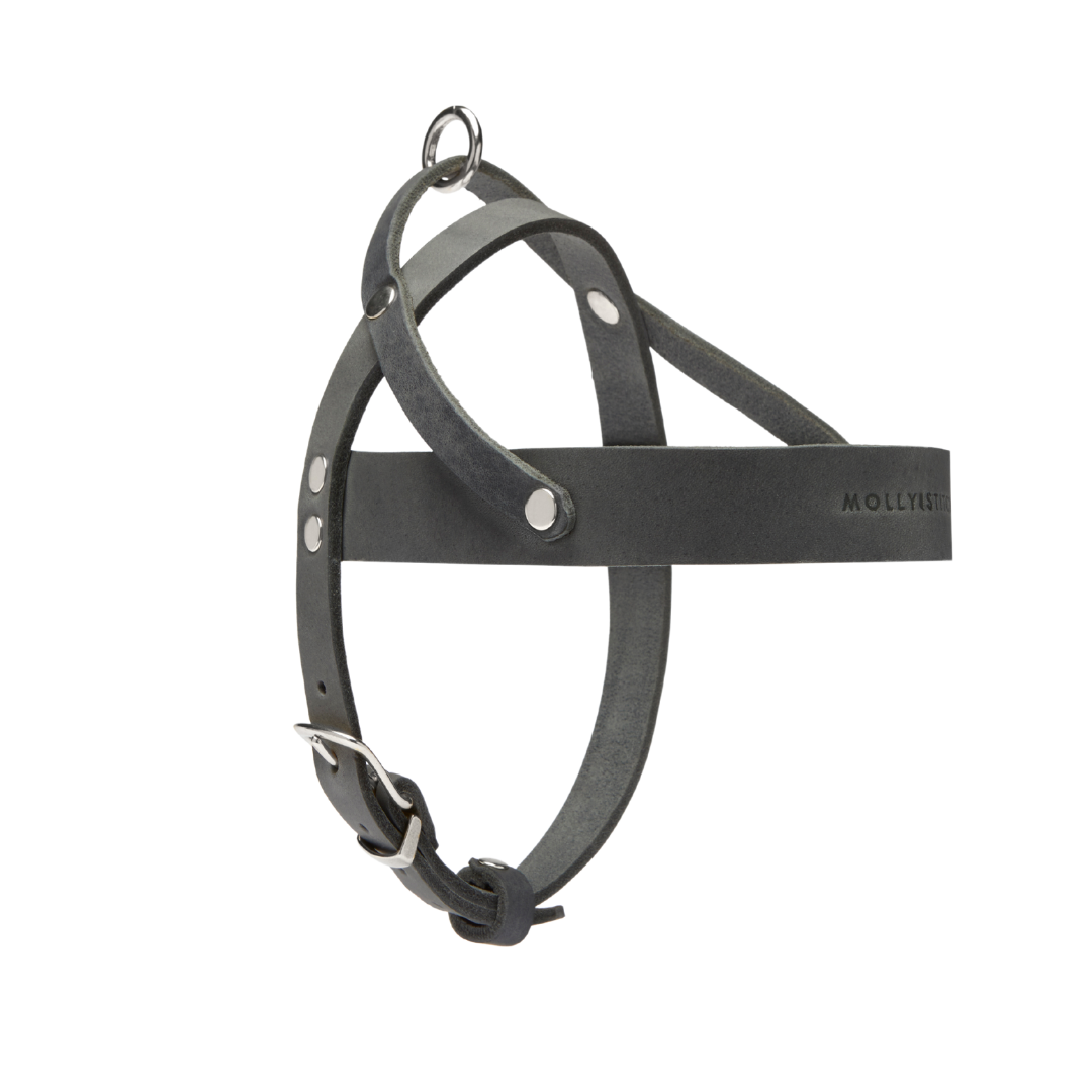 Butter Leather Dog Harness - Timeless Grey