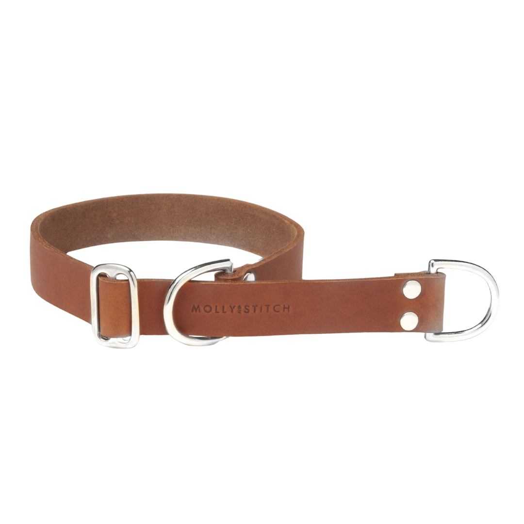 Butter Leather Retriever Dog Collar - Sahara Cognac