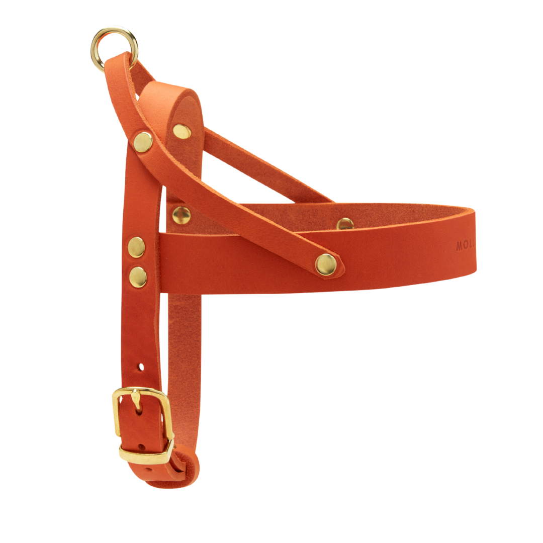 Butter Leather Dog Harness - Mango