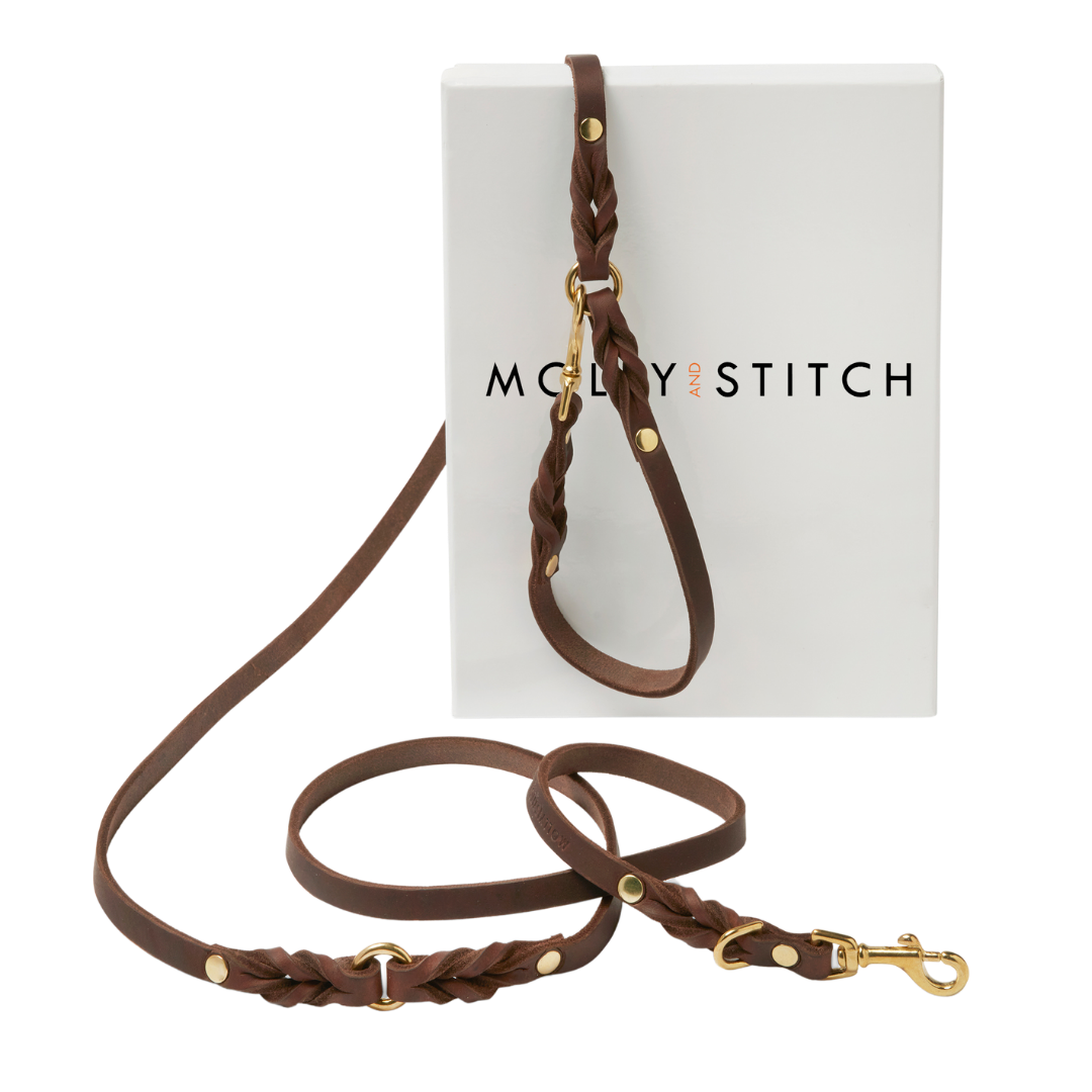 Luxurious Classic Brown leather leash with solid brass/silver clasp hardware and elegant braided detailing