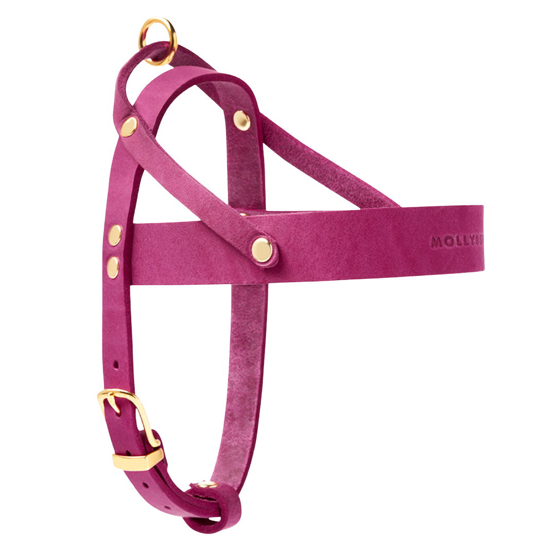 Butter Leather Dog Harness - Flamingo