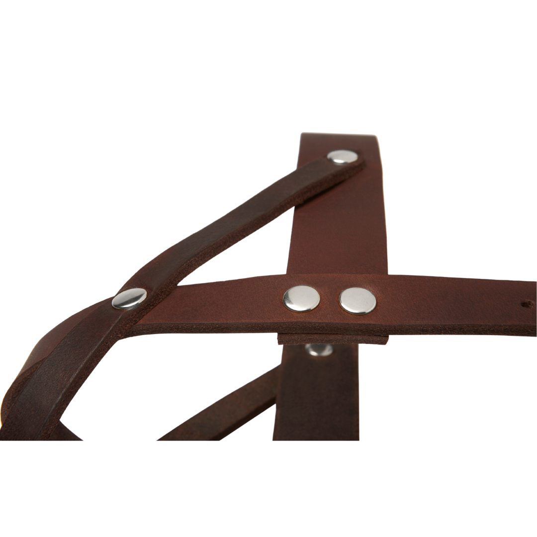 Butter Leather Dog Harness - Classic Brown