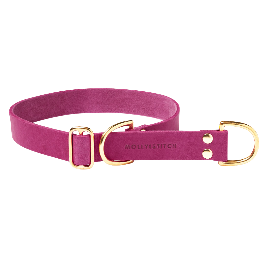 Butter Leather Retriever Dog Collar - Flamingo