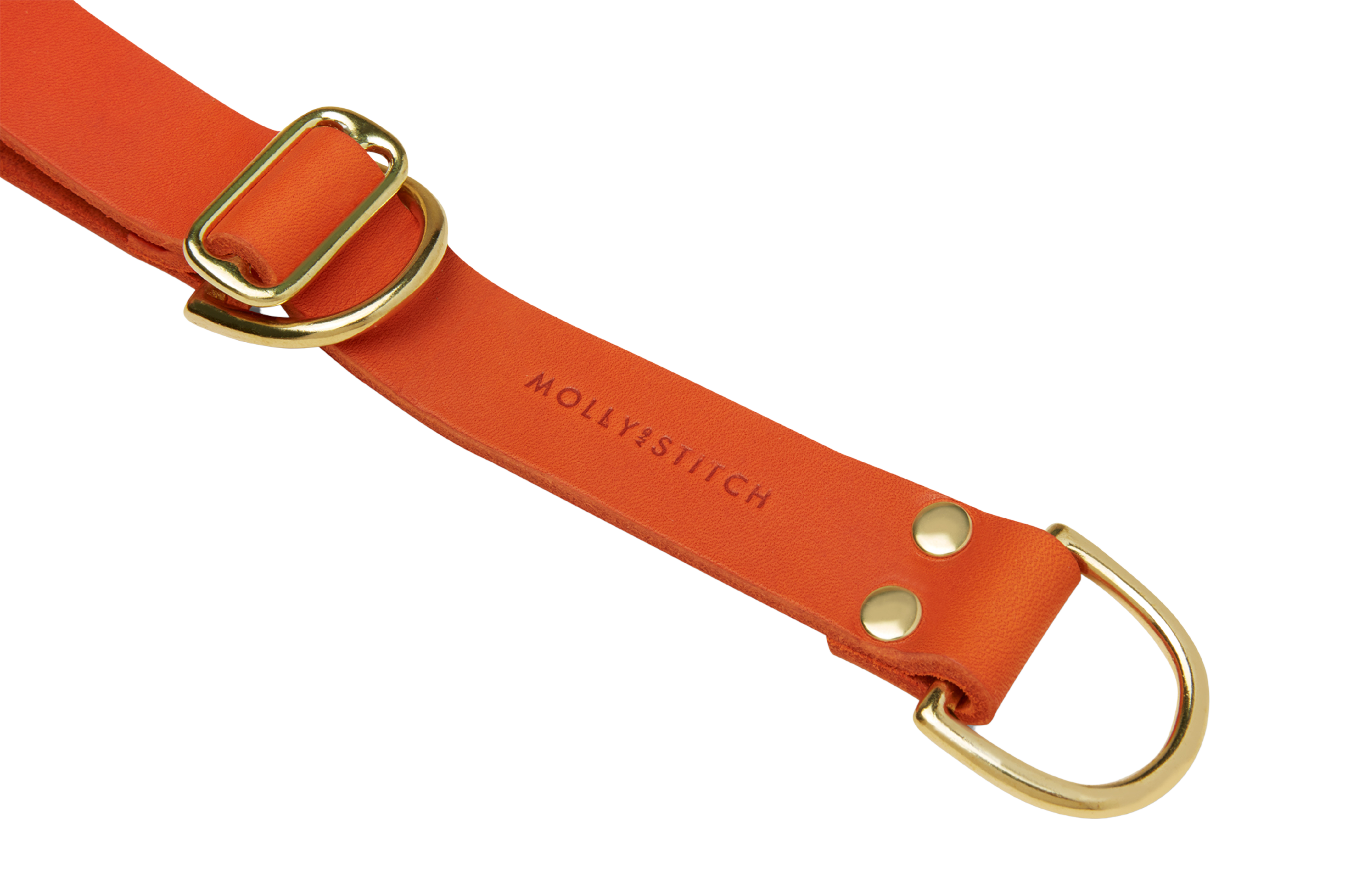 Butter Leather Retriever Dog Collar - Mango