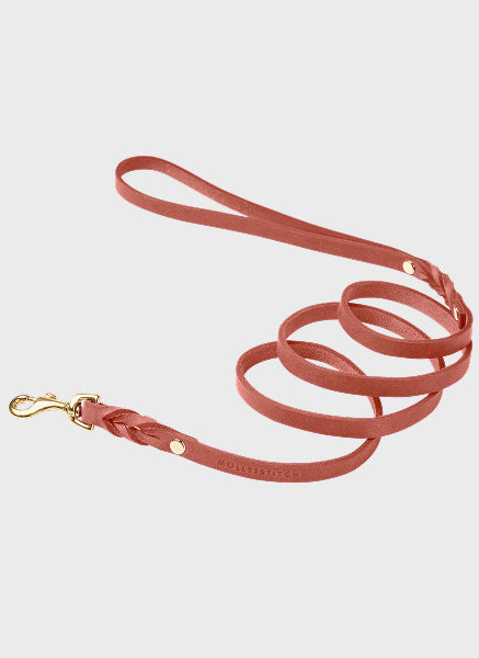 Butter Leather City Dog Leash - Coral