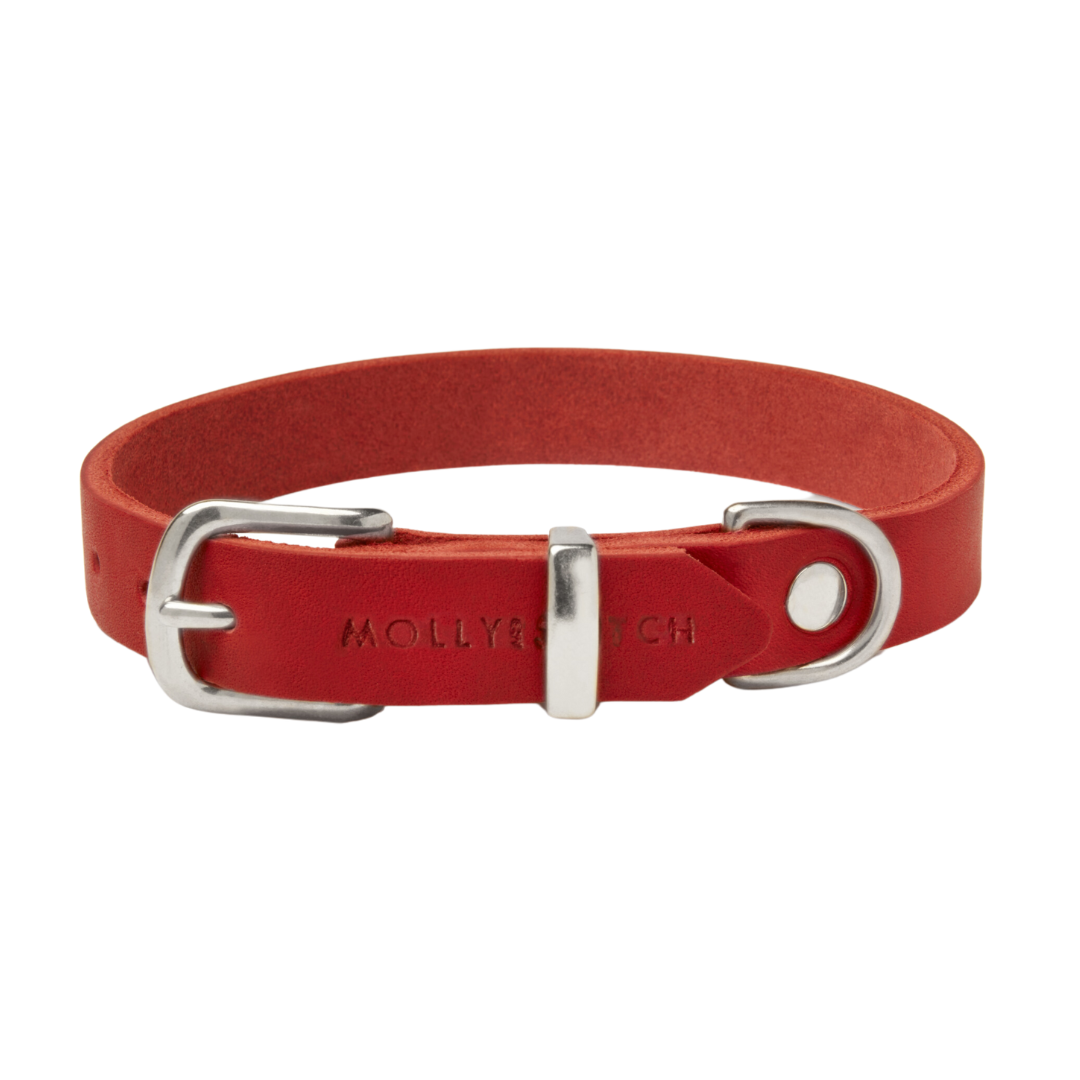 Soft leather dog collar with gleaming steel hardware and a Scandinavian design