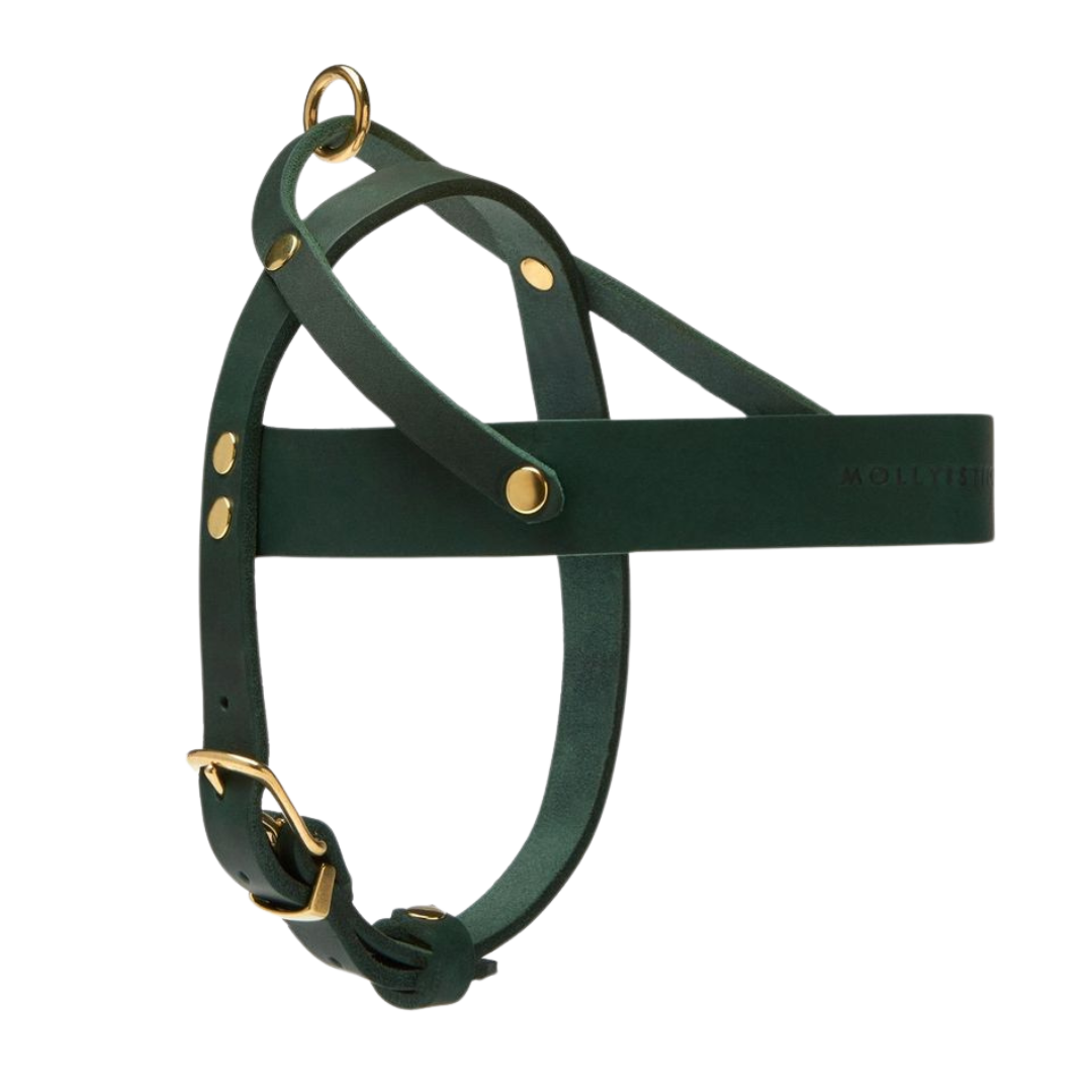 Butter Leather Dog Harness - Forest Green