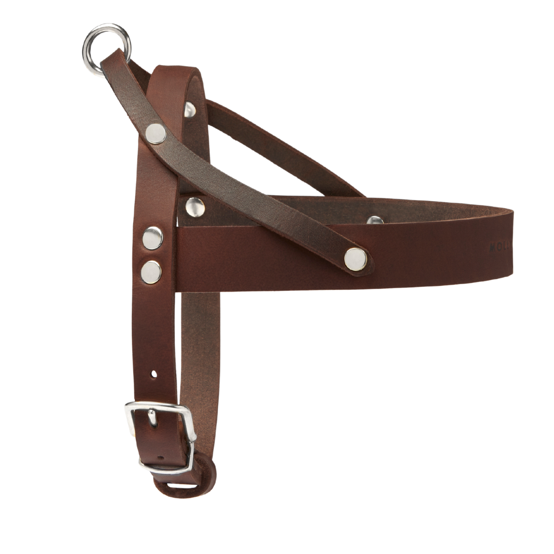 Butter Leather Dog Harness - Classic Brown