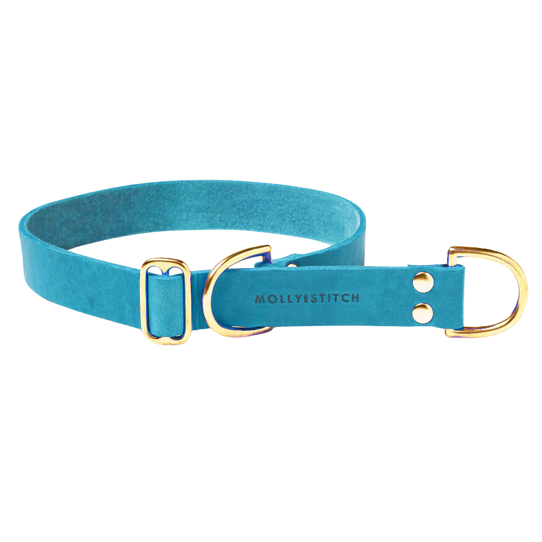 Butter Leather Retriever Dog Collar - Fiji