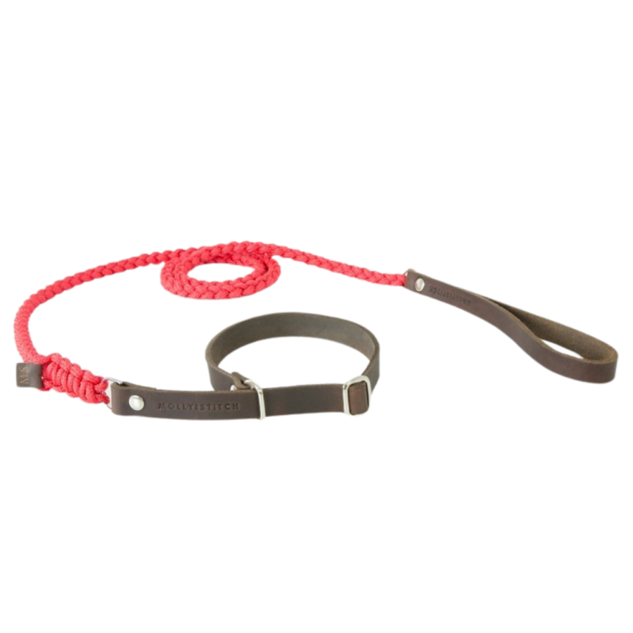 Touch of Leather Retriever Dog Leash - Lipstick