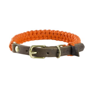 Touch of Leather Dog Collar - Pumpkin