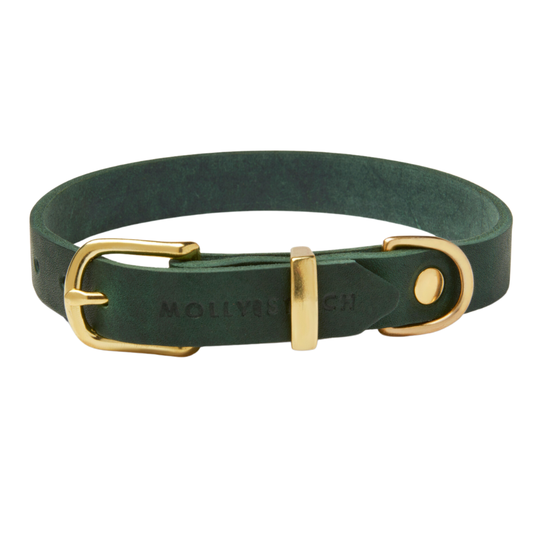 Soft leather dog collar with solid brass and steel options, designed for both comfort and style