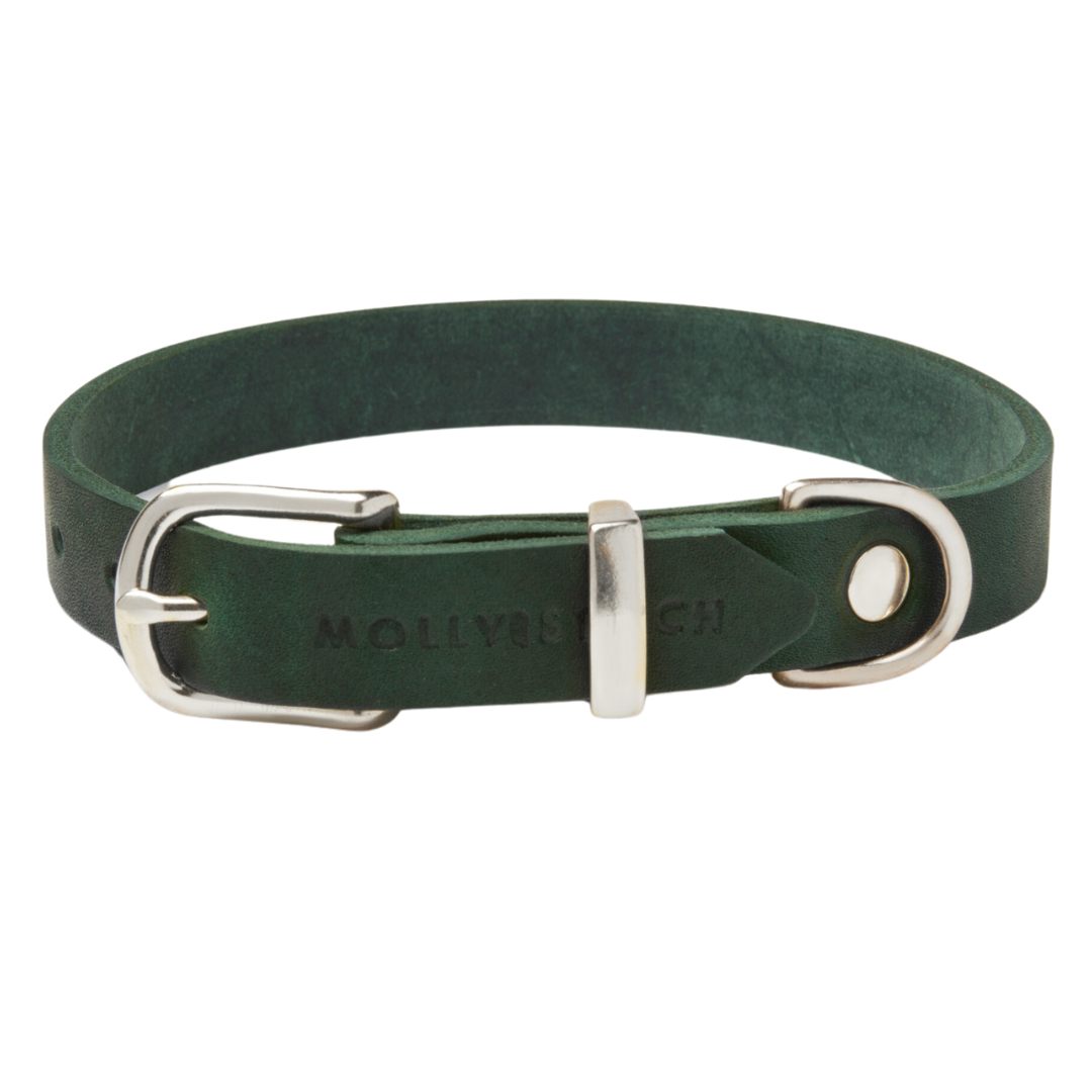 Soft leather dog collar with solid brass and steel options, designed for both comfort and style