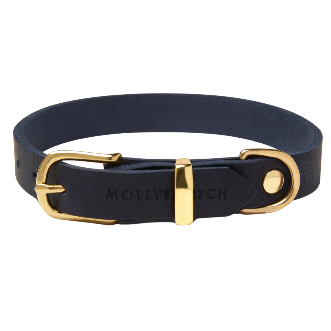 Soft leather dog collar with solid brass and steel options, designed for both comfort and style