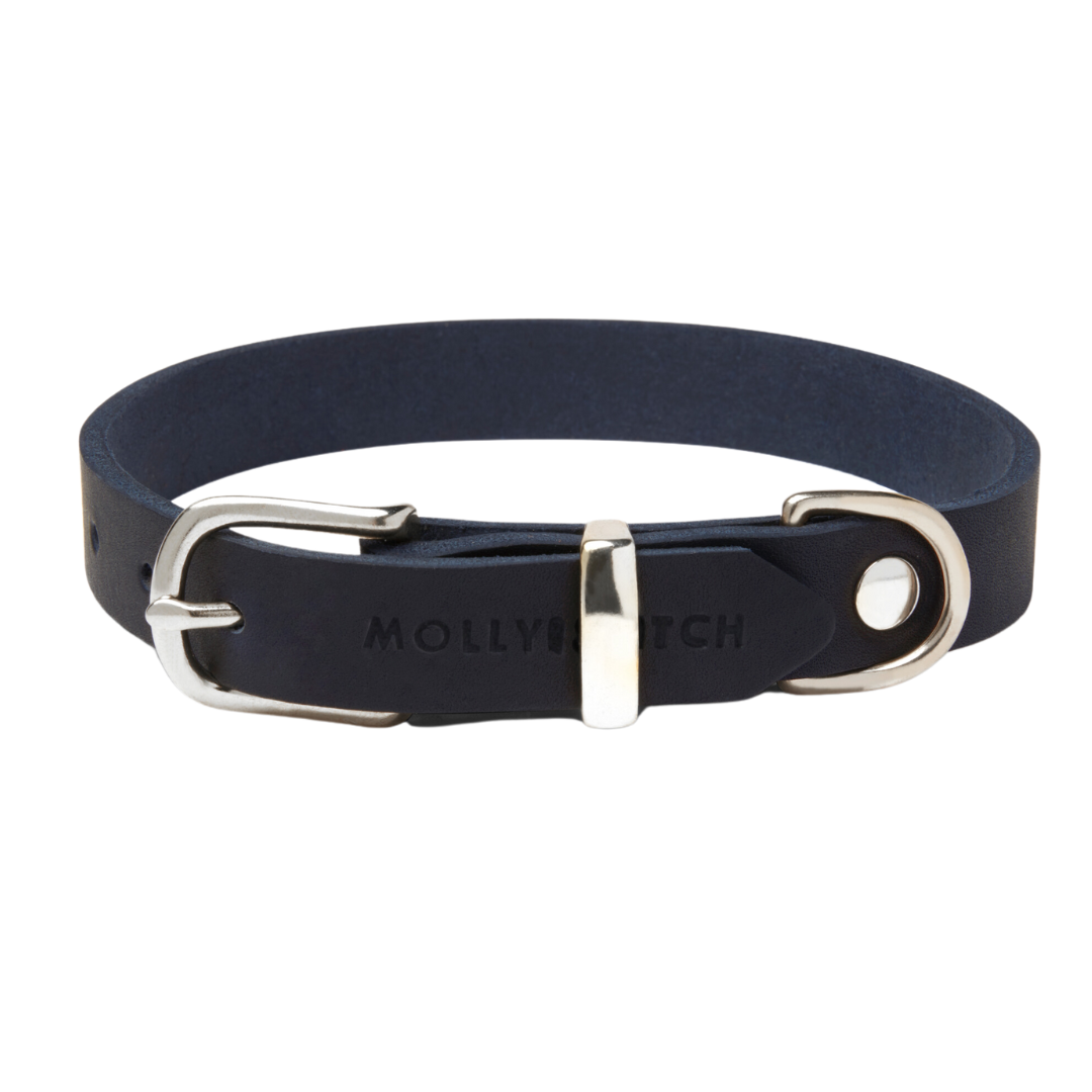 Soft leather dog collar with solid brass and steel options, designed for both comfort and style