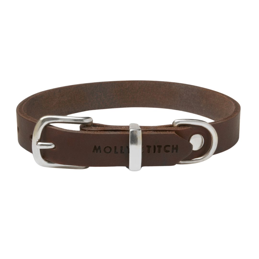 Scandinavian-inspired dog collar with buttery soft German leather and gleaming brass hardware