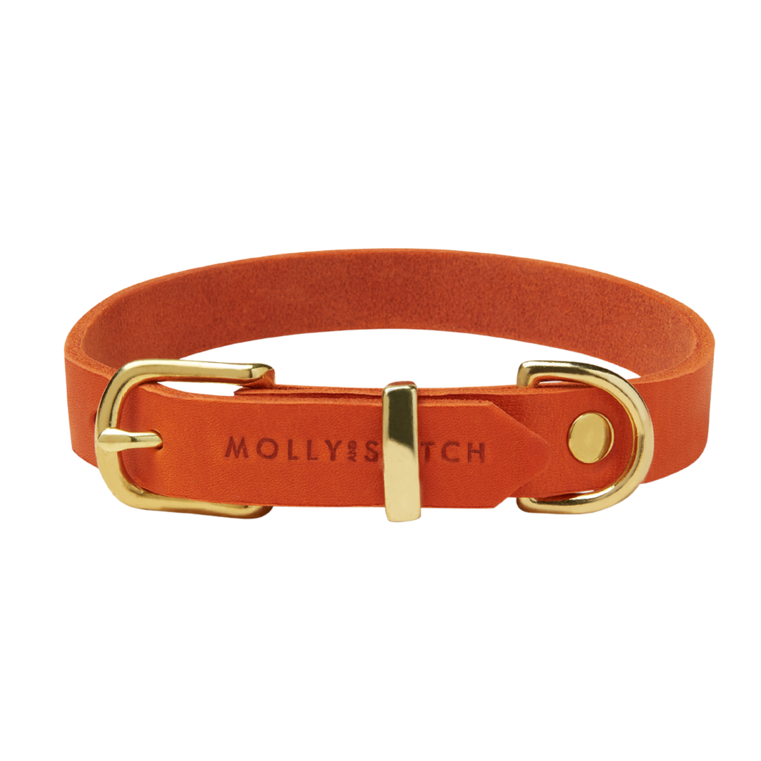 Luxurious dog collar with minimalistic design, crafted from soft German leather with brass hardware