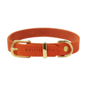 Butter Leather Dog Collar - Mango