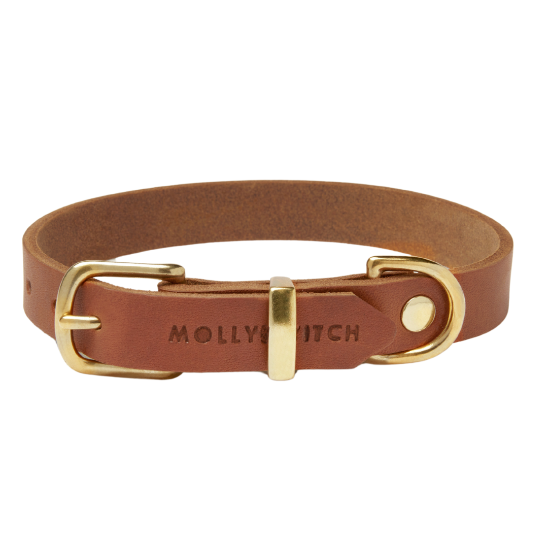 Soft leather dog collar with solid brass and steel options, designed for both comfort and style