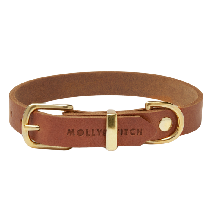 Butter Leather Dog Collar - Sahara Cognac
