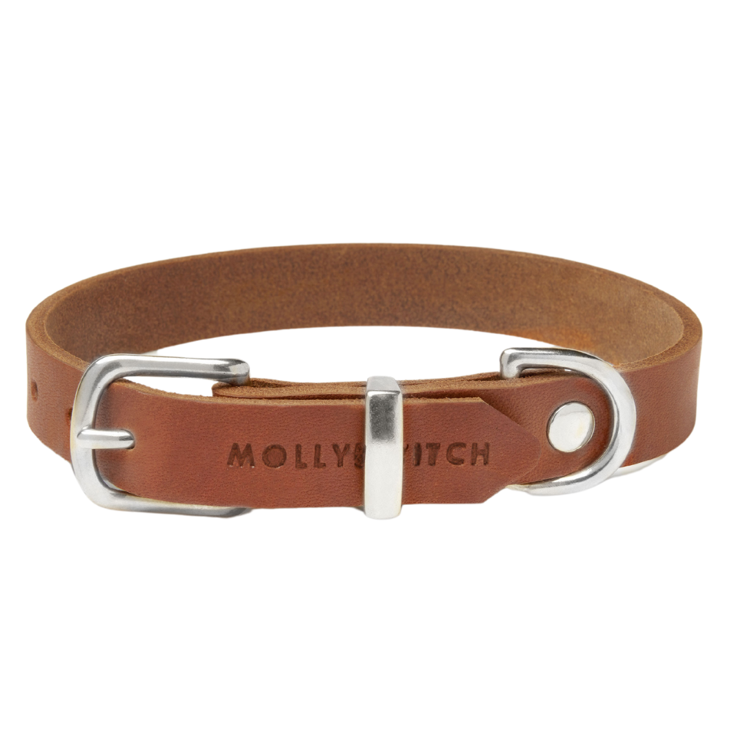 Soft leather dog collar with solid brass and steel options, designed for both comfort and style