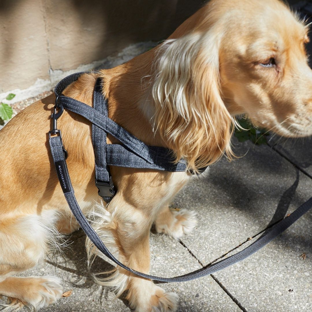 Soft Rock Harness - Grey