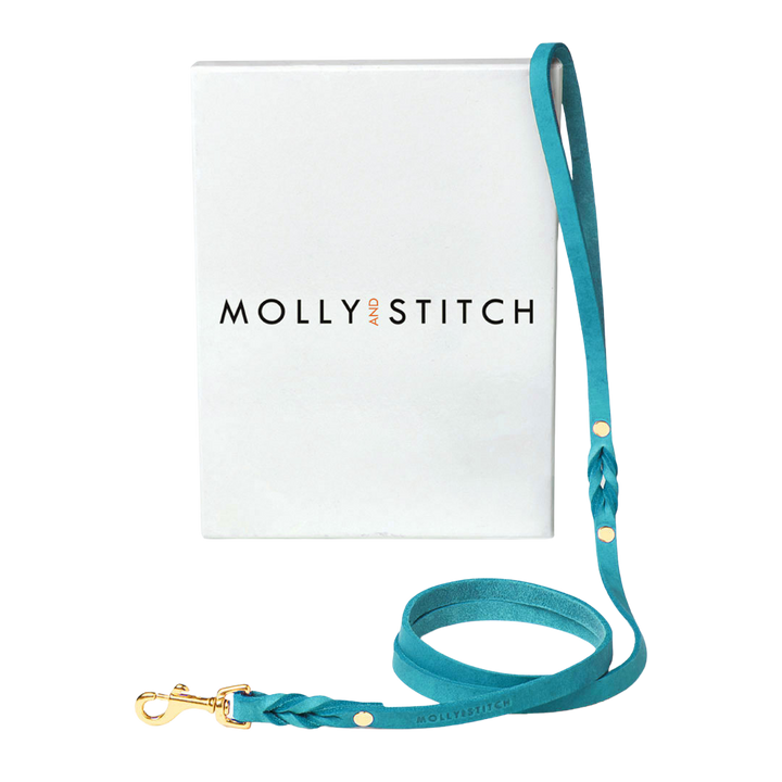 Butter Leather City Dog Leash - Fiji