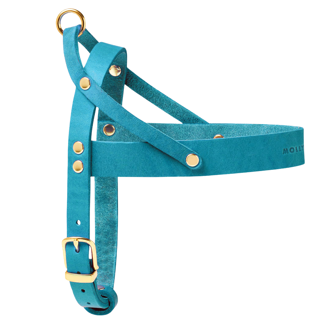 Butter Leather Dog Harness - Fiji